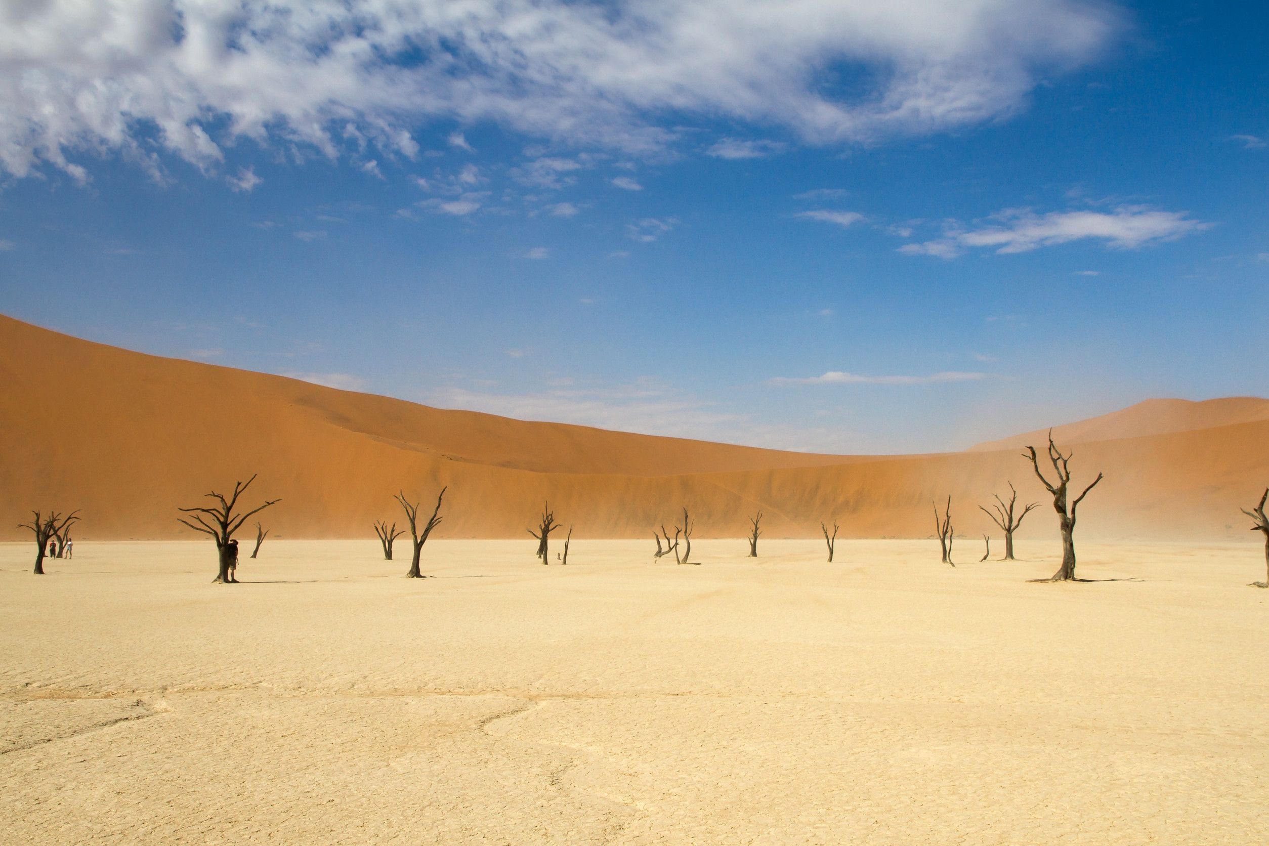 Dead Valley in the Namib Desert