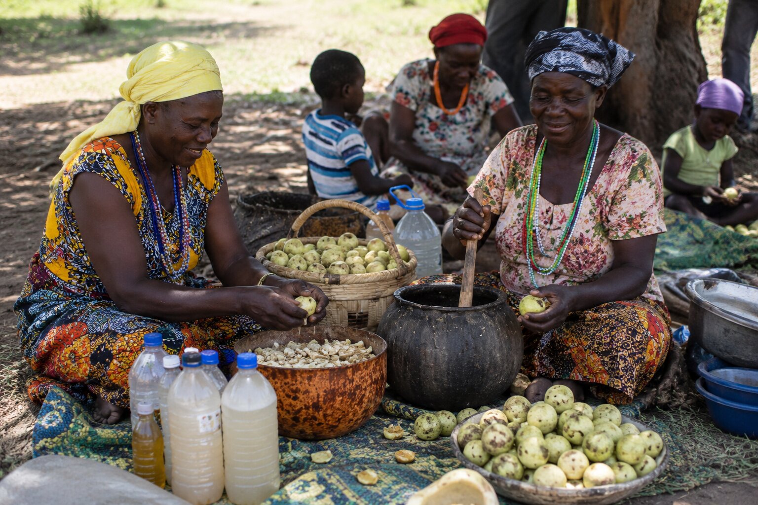 Marula Festival, Namibia