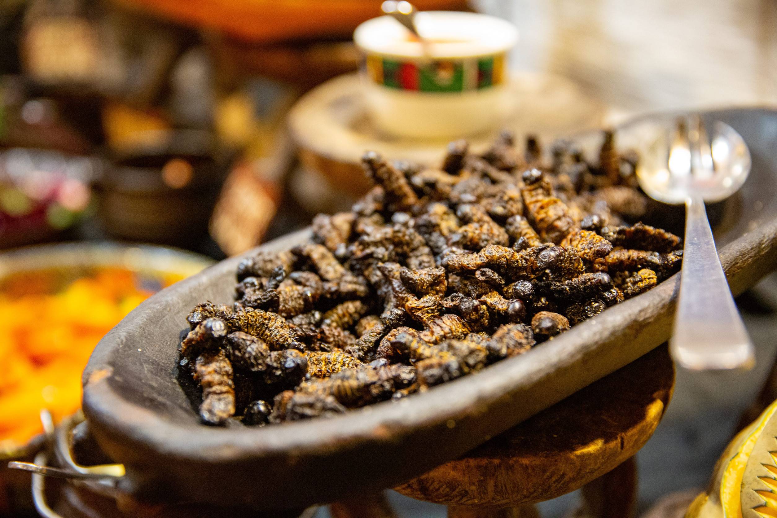 Mopane Worms Being Prepared
