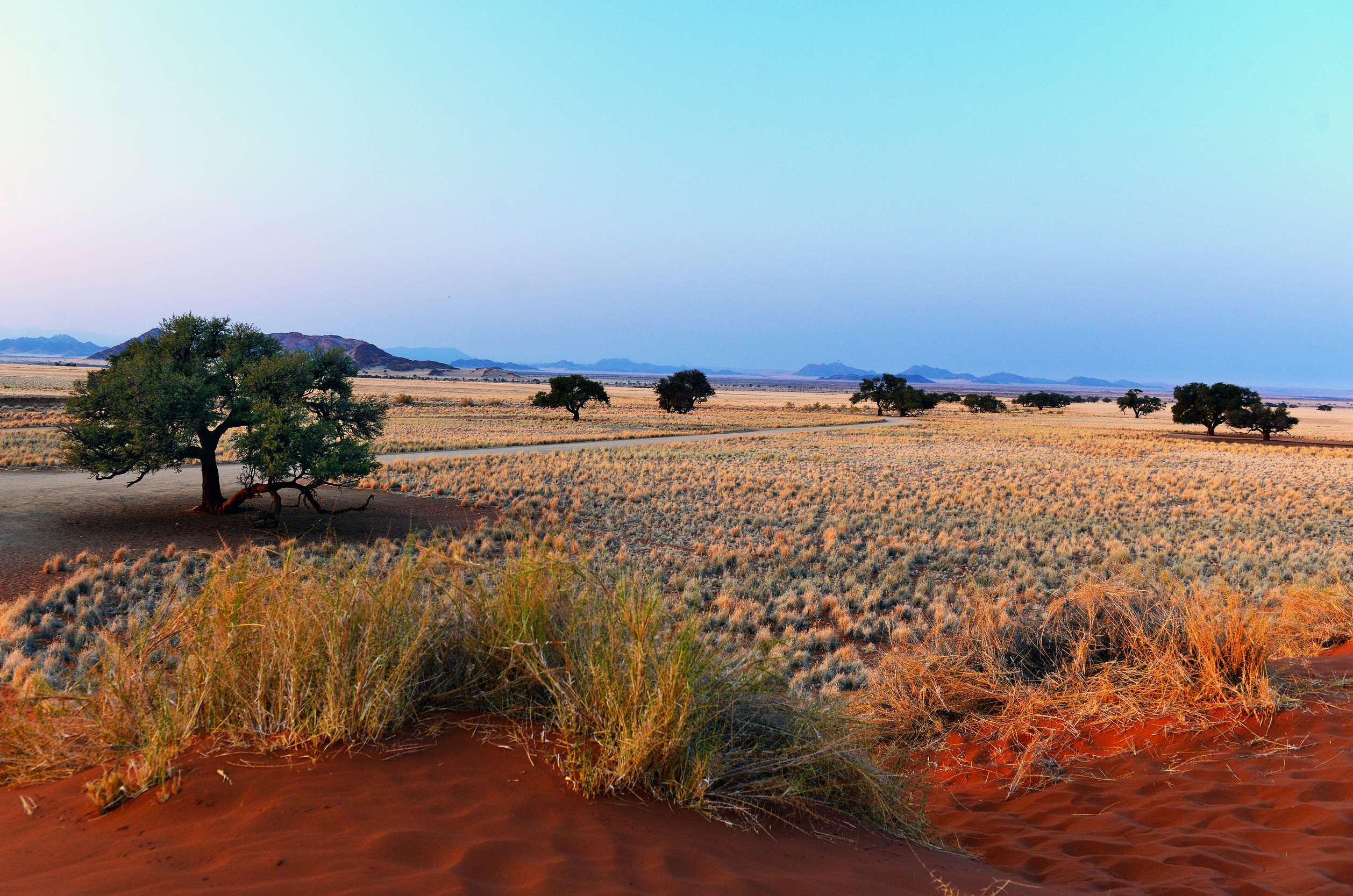 Namib Naukluft National Park Namibia