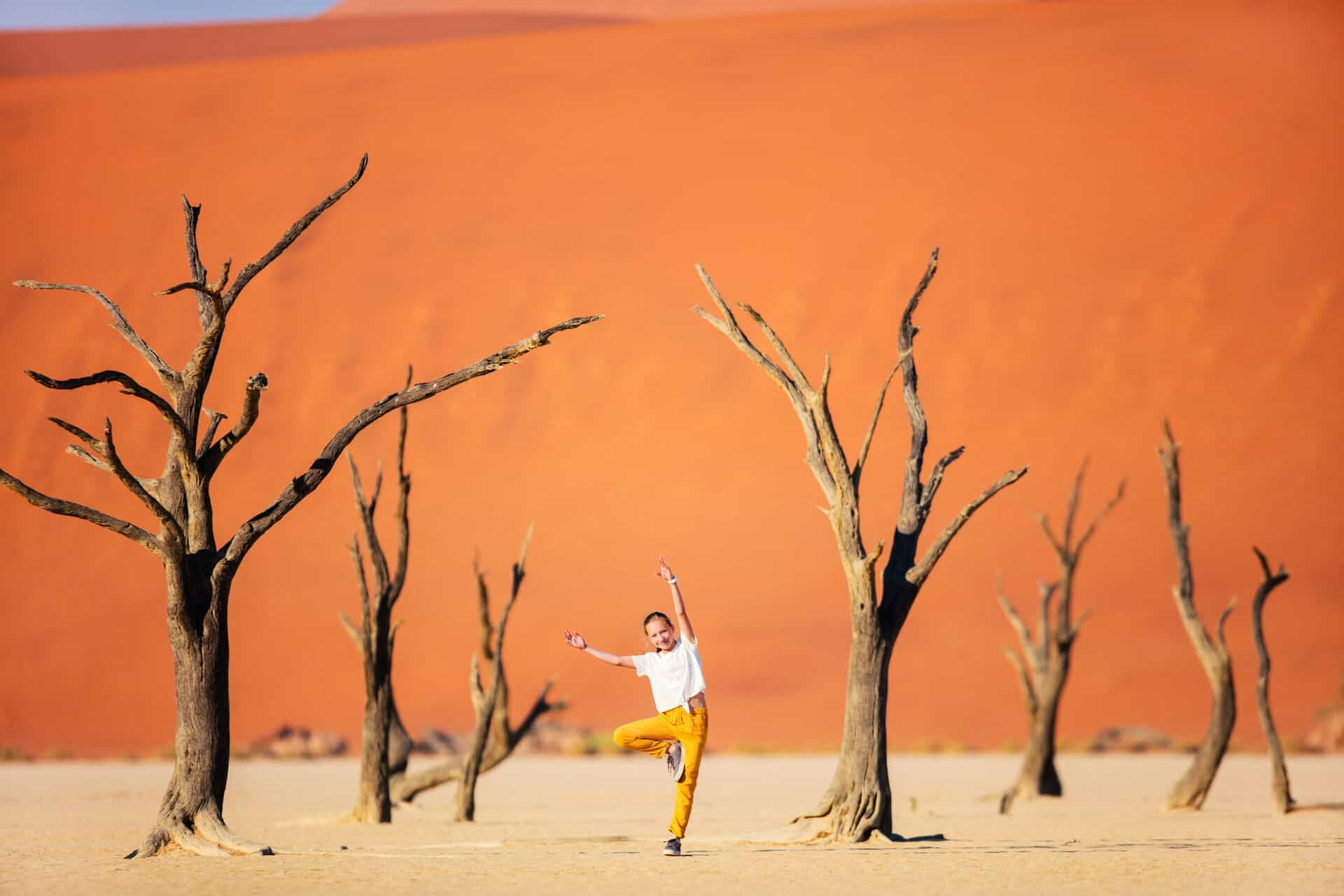Sossusvlei Dunes