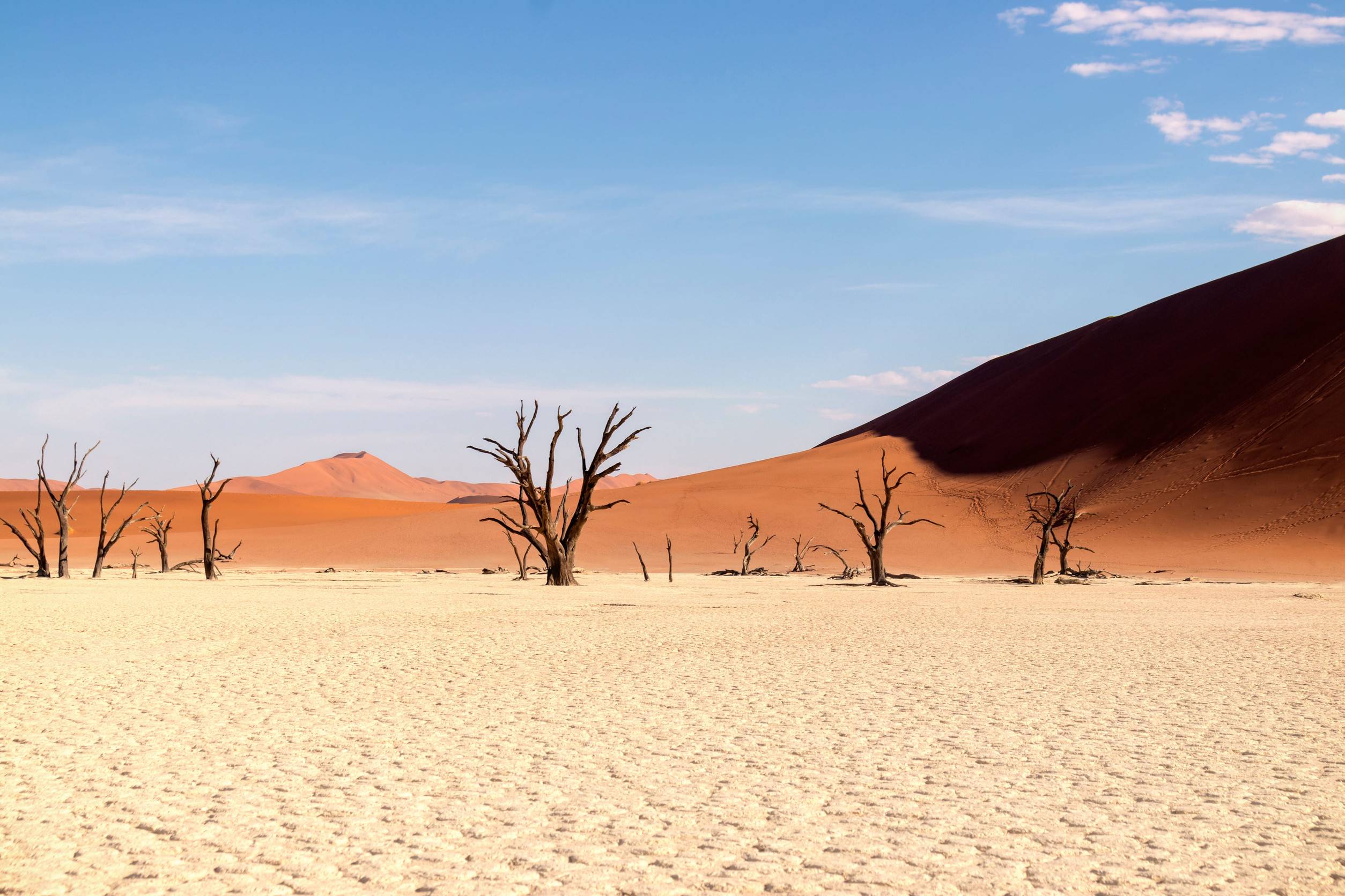 View of Deadvlei, Namibia